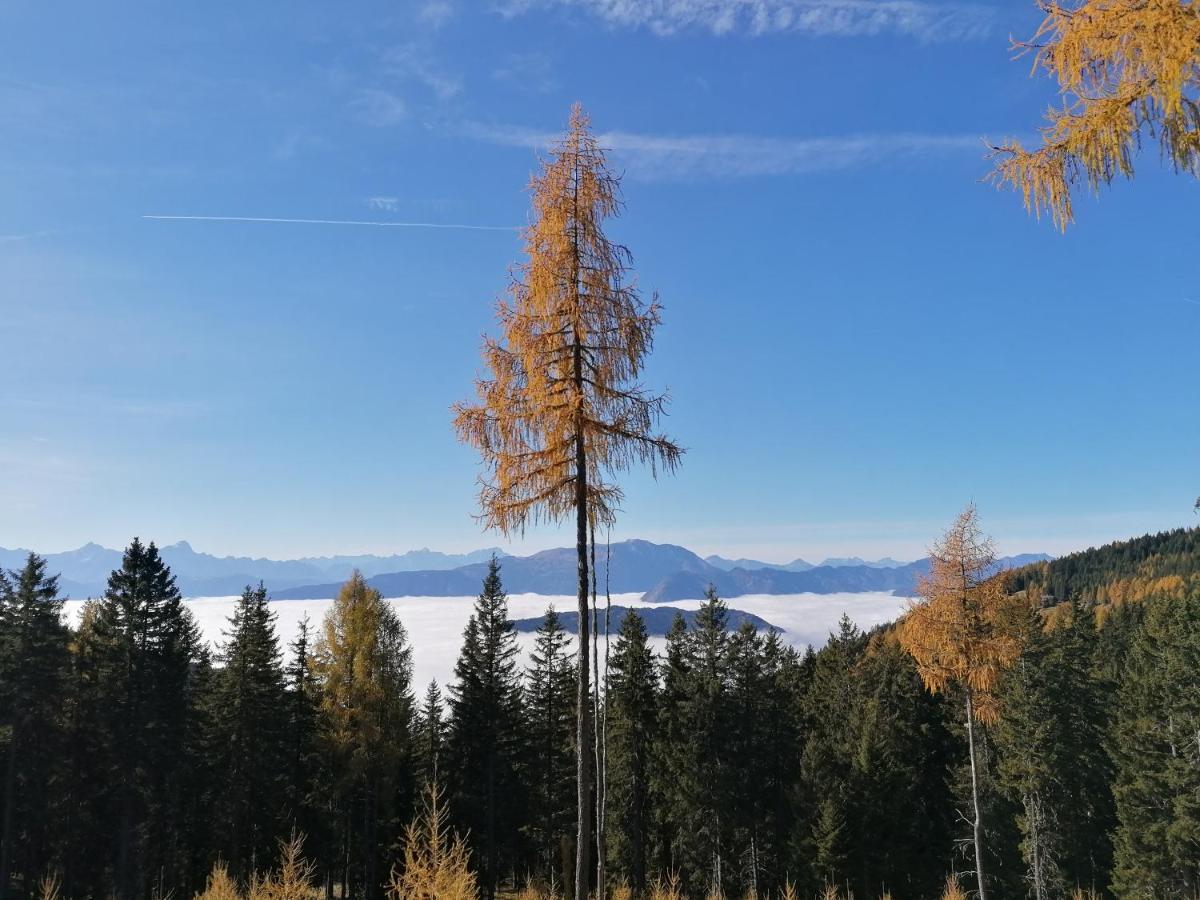 Gerlitzen Ferienappartement Paul Im Ski- Und Wandergebiet, Kanzelhoehe, Ossiacher See Deutschberg Εξωτερικό φωτογραφία